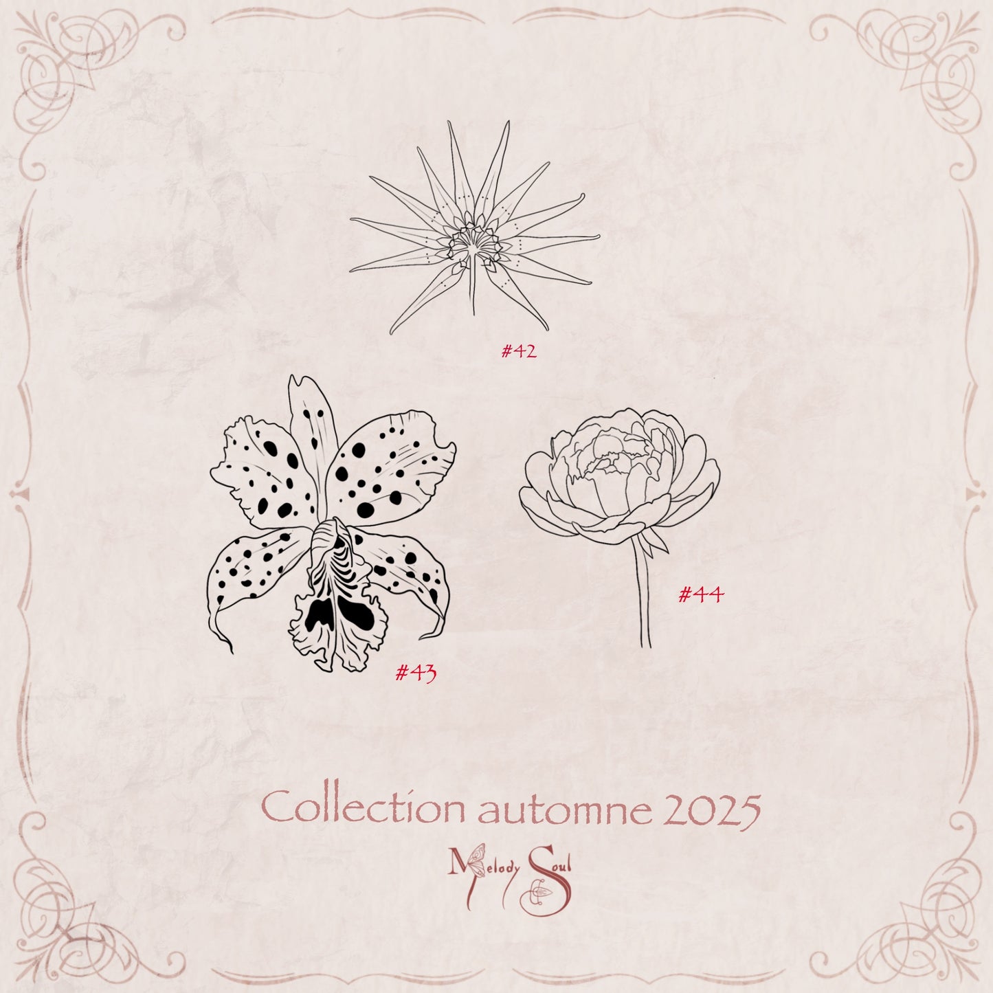 Flash Automne 2025- planche 7