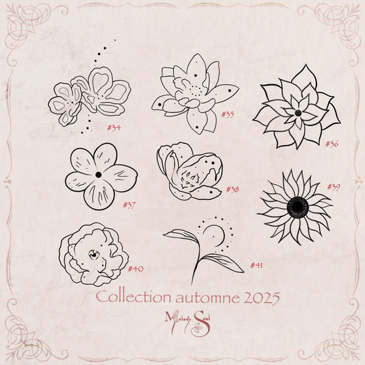 Flash Automne 2025- planche 6