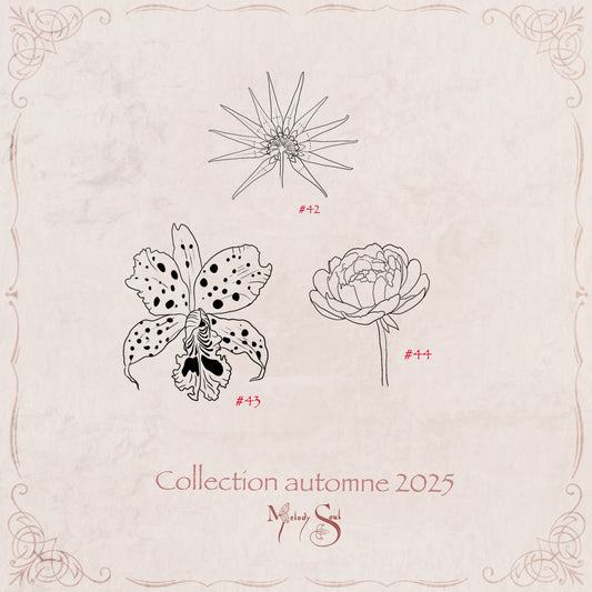 Flash Automne 2025- planche 7