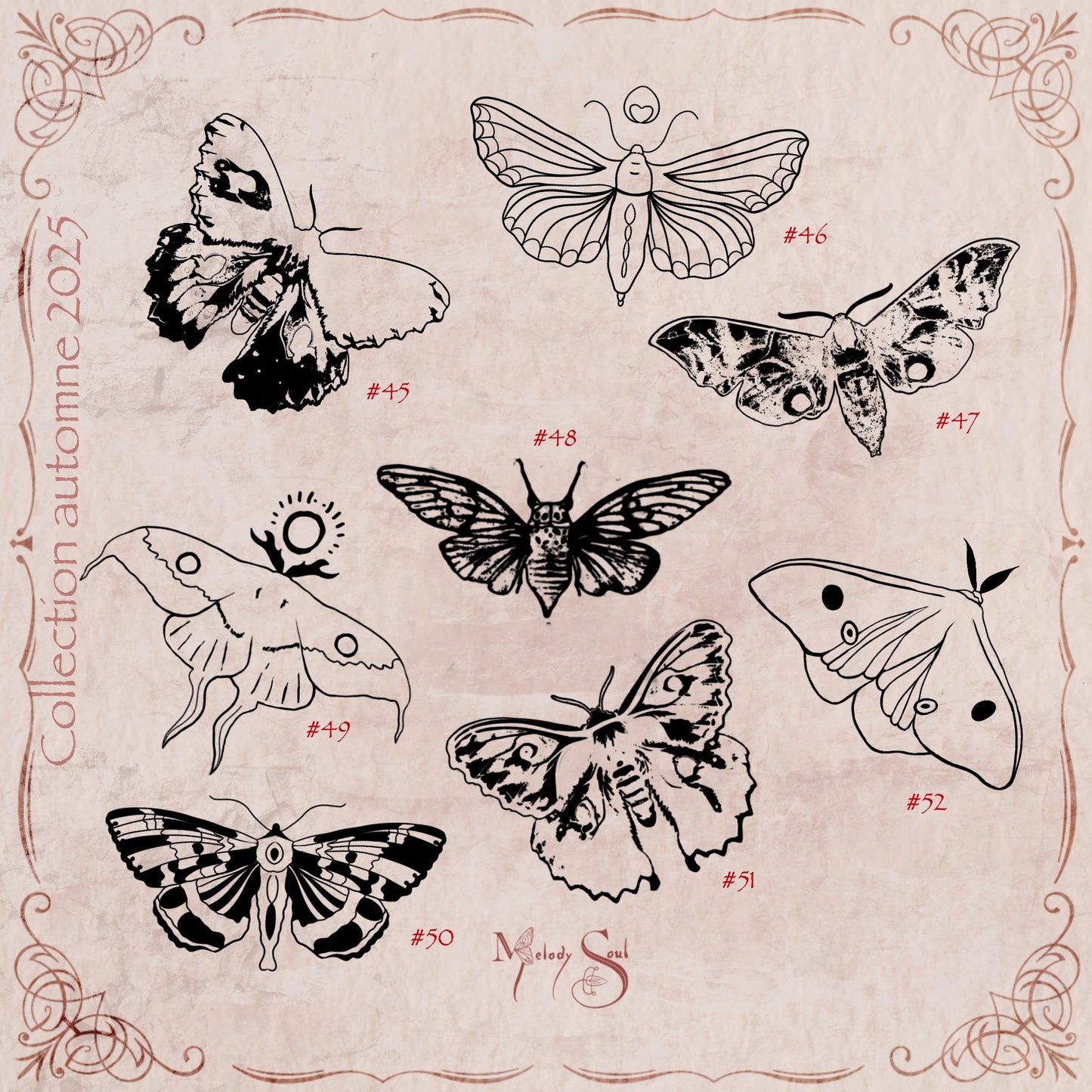 Flash Automne 2025- planche 8