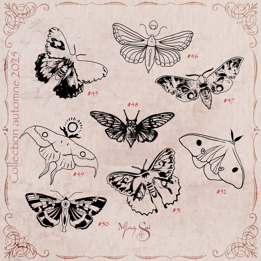 Flash Automne 2025- planche 8